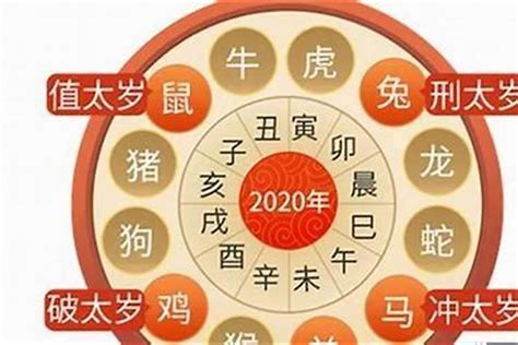 2024年属虎运势|2024甲辰年指南 